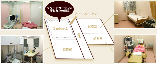 培養システム