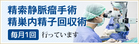 精検索静脈瘤手術・精巣内精子回収術